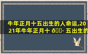 牛年正月十五出生的人命运,2021年牛年正月十 🕷 五出生的人命怎么样